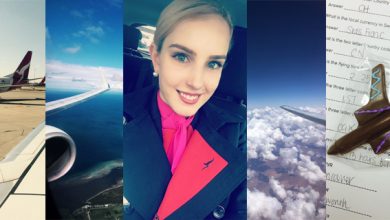 Collection of cabin crew images